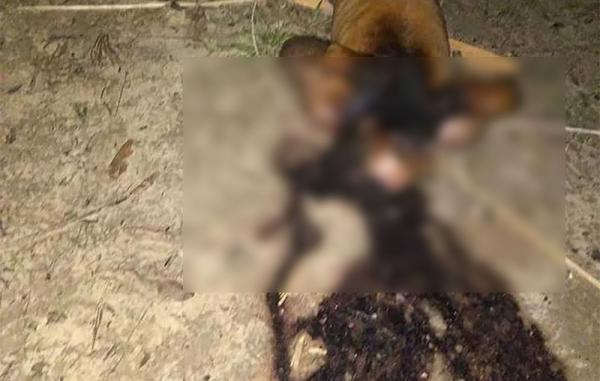 Homem recebe descarga elétrica e morre queimado