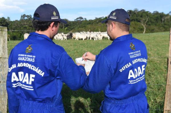 Edital do concurso da Adaf é lançado com 208 vagas e salários até R$ 6,5 mil