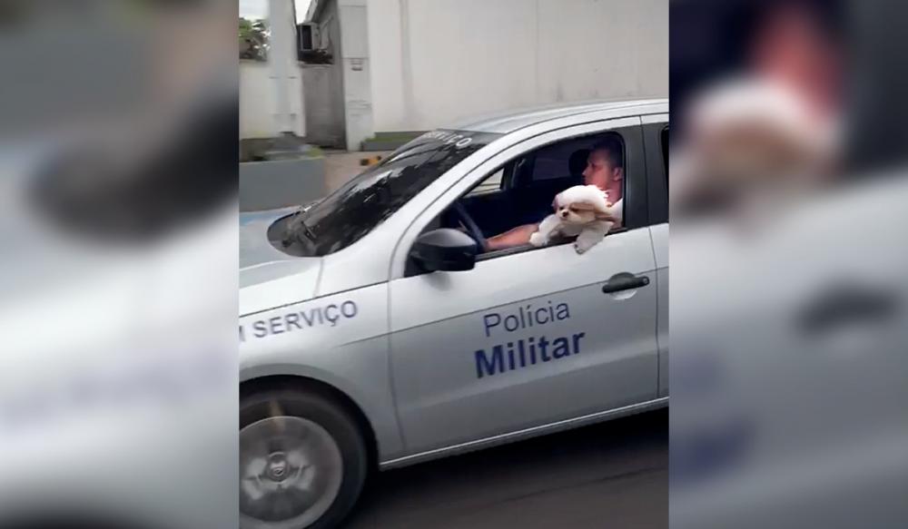 Major da PM-AM usa carro oficial para passear com cachorro e é exonerado