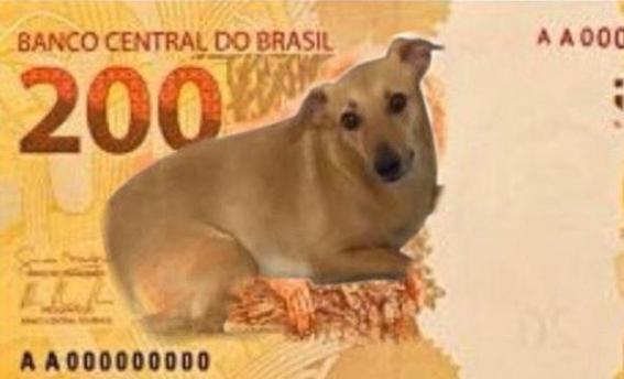 Após nota de R$ 200, Banco Central estuda ação com vira-lata caramelo