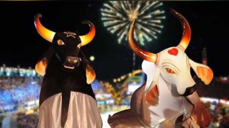 55º Festival Folclórico de Parintins é oficialmente adiado para 2021