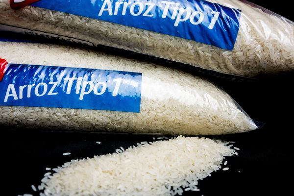 Exportações de arroz batem 1,5 milhão de toneladas em 2020