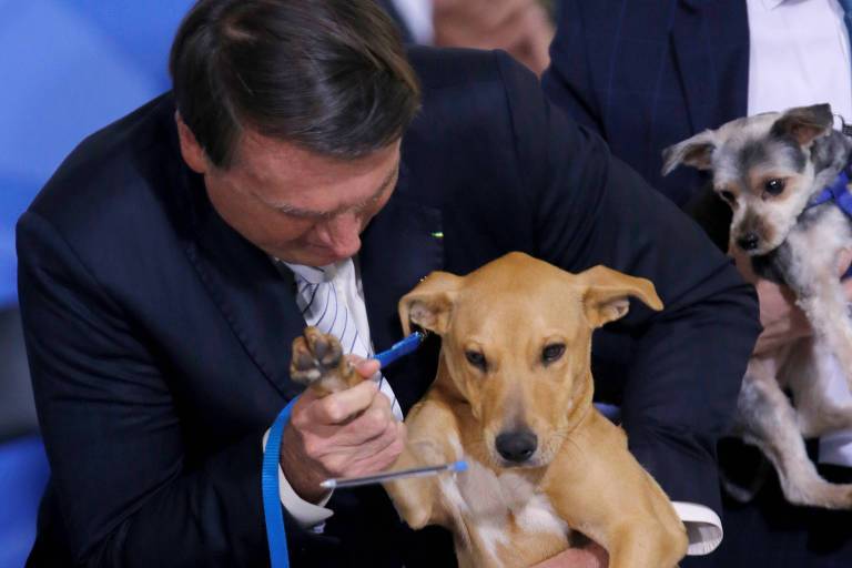 Bolsonaro sanciona pena maior, de até 5 anos, para maus-tratos a animais