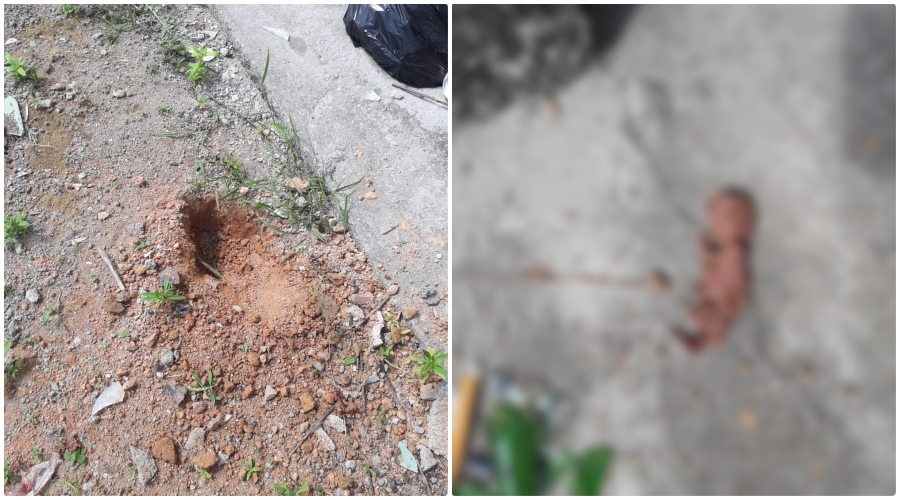 Casal é preso por enterrar feto no quintal da casa