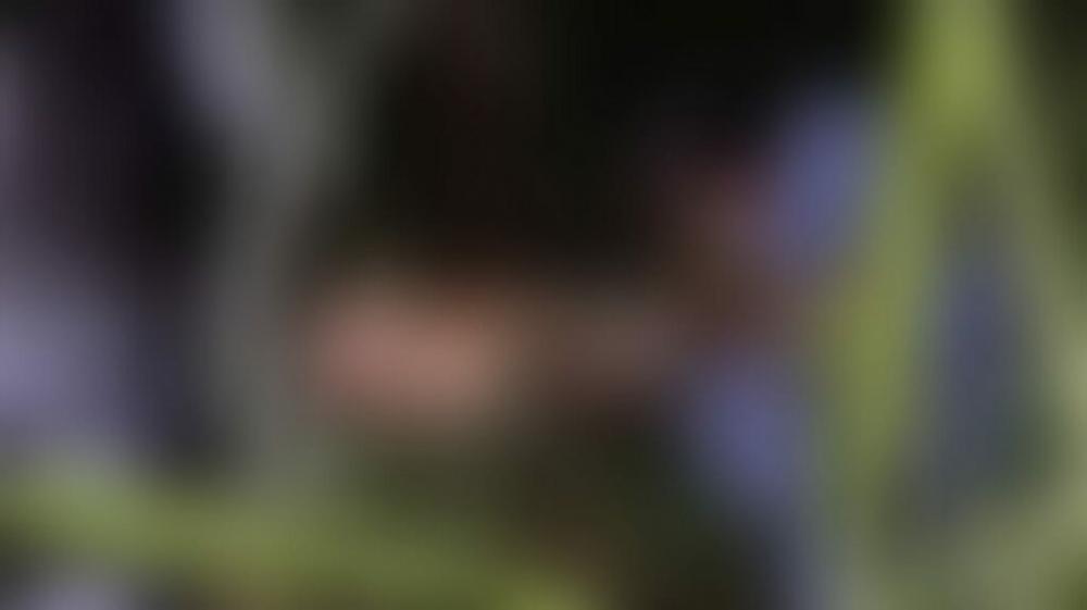 Corpo de homem é encontrado com perfurações em área de mata em Manaus; vídeos