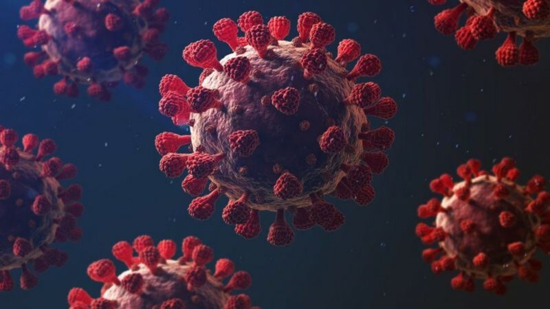 Cientista brasileira descobre proteína chave para tratamento da covid-19