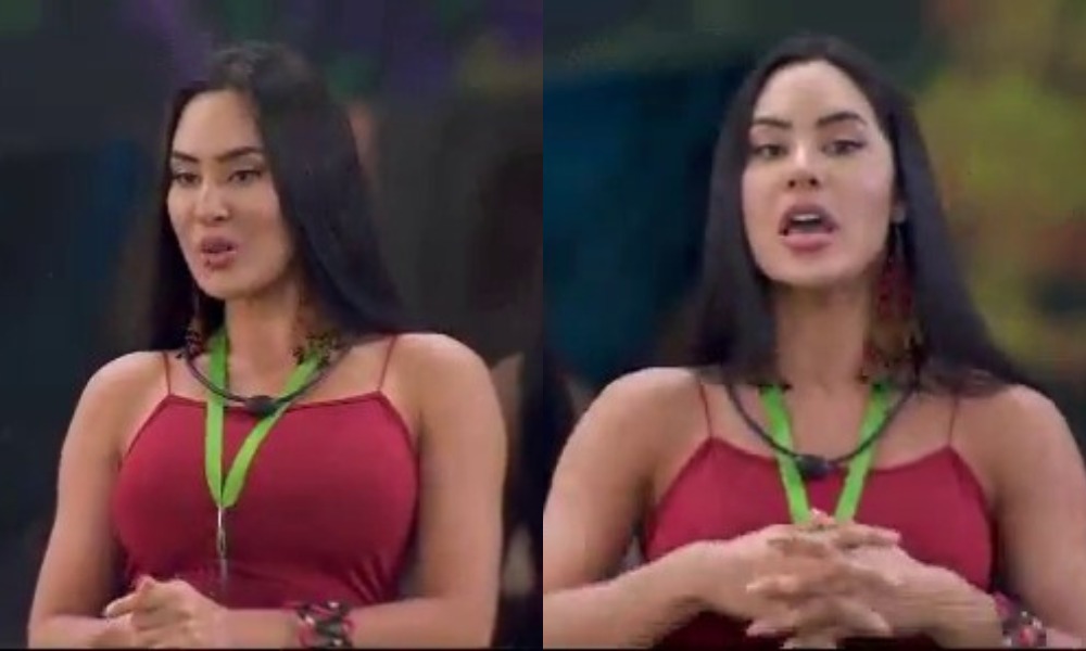 BBB 24: Isabelle Nogueira se apresenta e emociona brothers