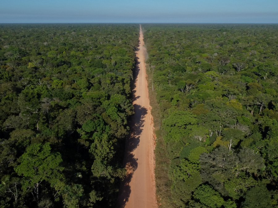 STJ marca audiência para discutir pavimentação da BR-319