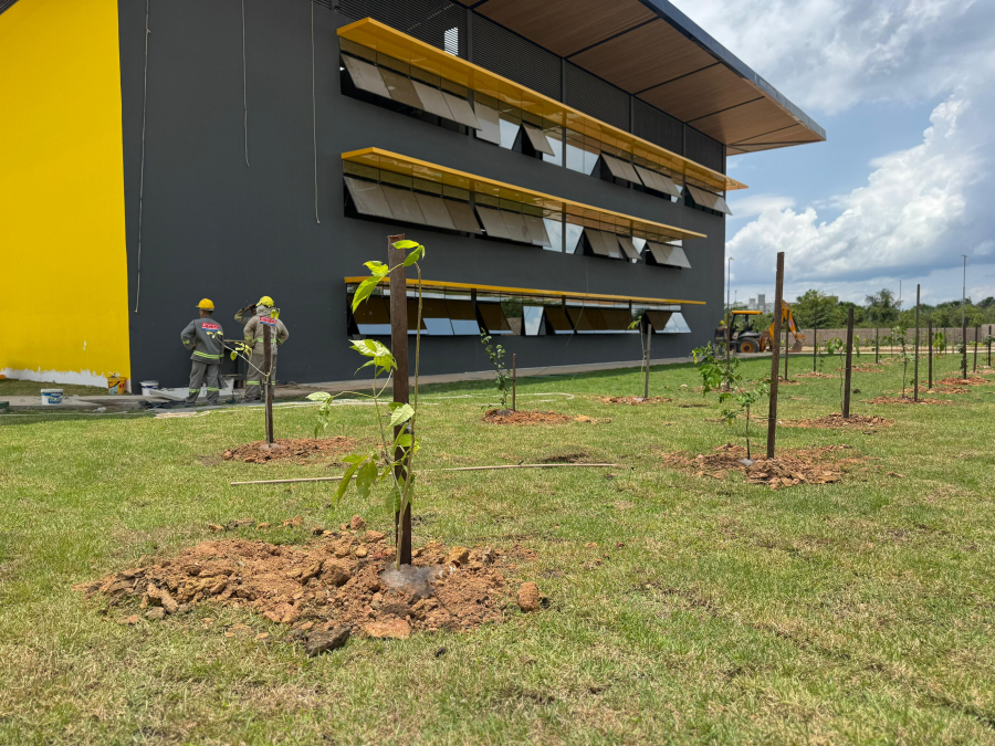 Nova sede do Implurb recebe plantio de mais de 260 árvores nativas e brasileiras pela Prefeitura de Manaus