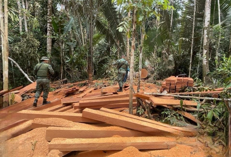 Ipaam aplica mais de R$ 5 milhões em multas na 5ª etapa da Operação Tamoiotatá 5