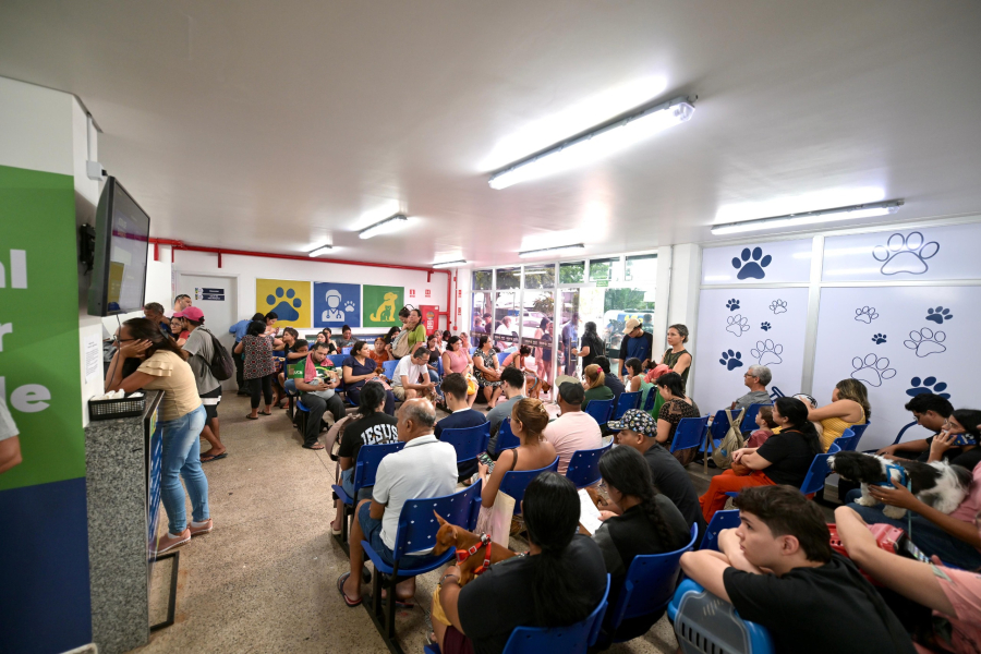 Hospital Público Veterinário do Amazonas já atendeu mais de 15 mil animais