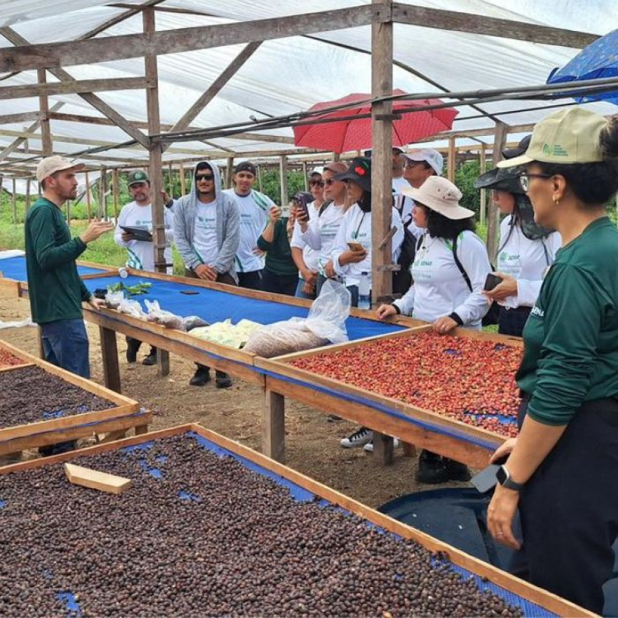 Senar Amazonas lança Processo Seletivo com 85 vagas para cursos técnicos gratuitos