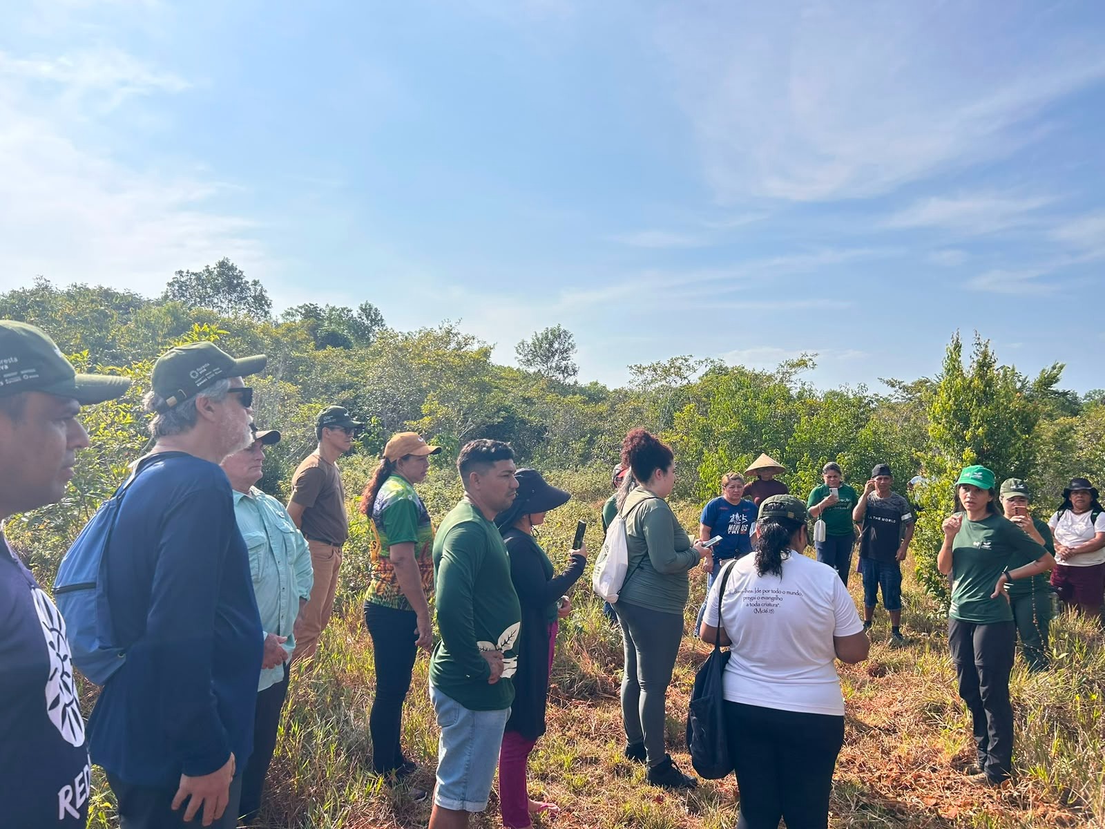 Projetos apoiados pela Eneva no AM já mobilizaram mais de 400 hectares para restauração da vegetação nativa
