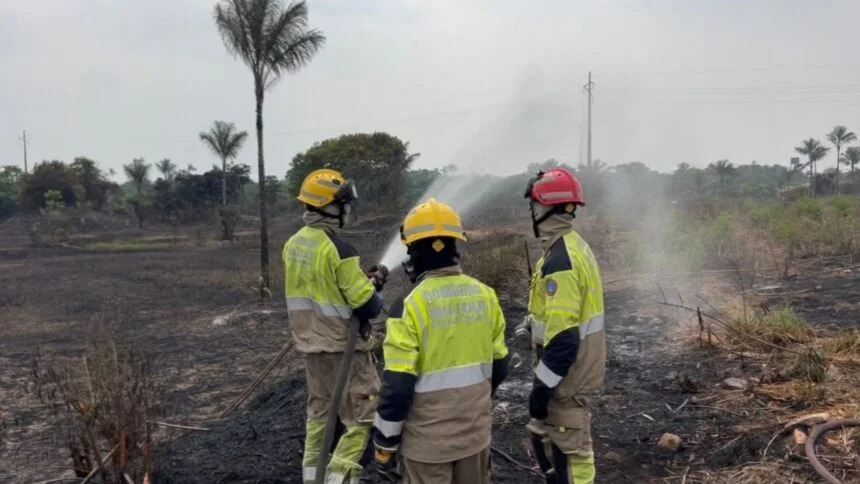 Incêndio destrói área equivalente a 50 campos de futebol em Iranduba