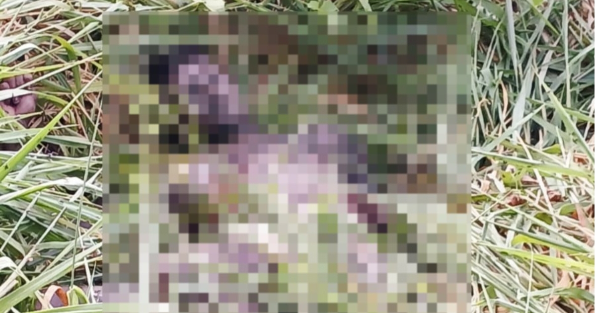 Adolescente é encontrado morto em área de mata às margens da AM-010
