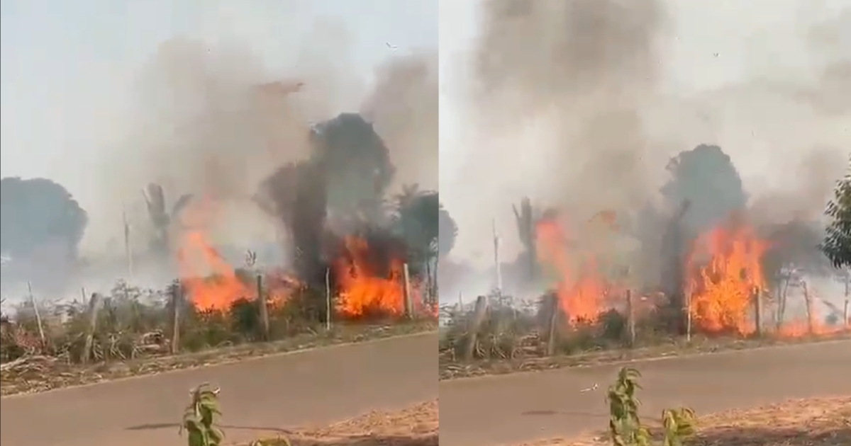 Incêndio em mata é registrado em Autazes e fumaça afeta qualidade do ar no Amazonas