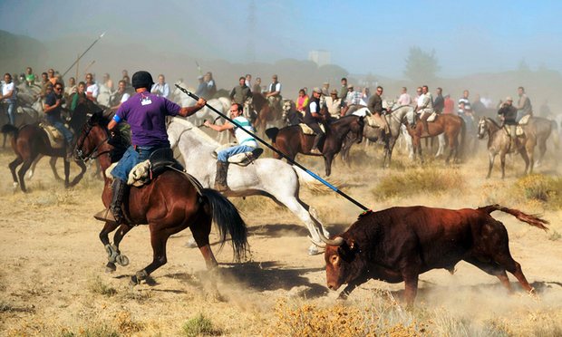 Governo da Espanha cede à pressão e proíbe massacre público de touros com lanças