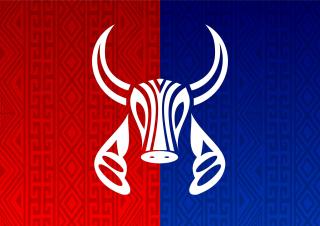 Festival Folclórico de Parintins